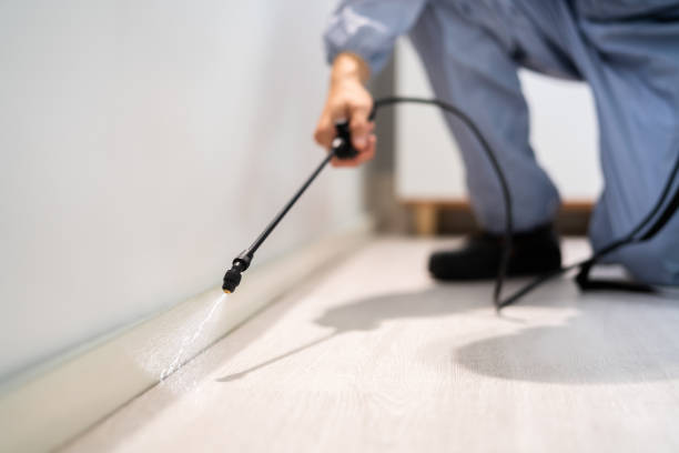Licensed Exterminator service in St. Elmo, IL - Show Me Pest Control